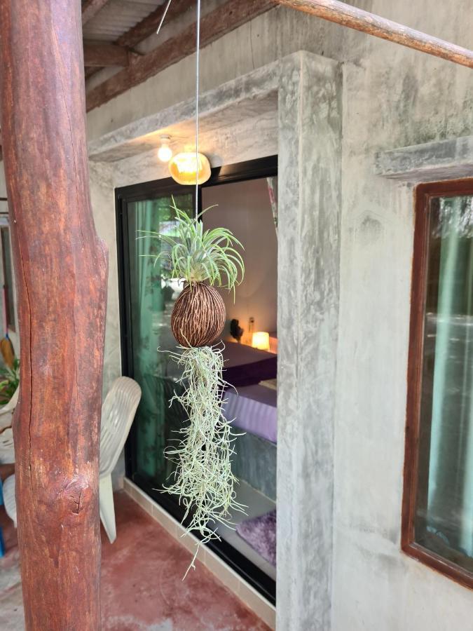 Phangan Villa Bungalows Thong Sala Eksteriør billede